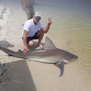 Meet your Posher, Andy